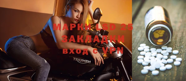 шишки Баксан