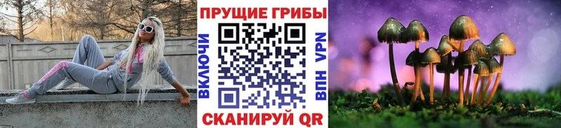 Галлюциногенные грибы GOLDEN TEACHER Высоцк